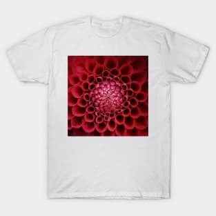 Dahlia Heart T-Shirt